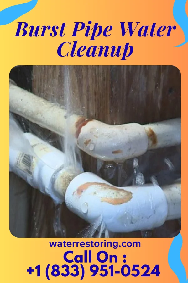Burst Pipe Water Cleanup in Greencastle, IN