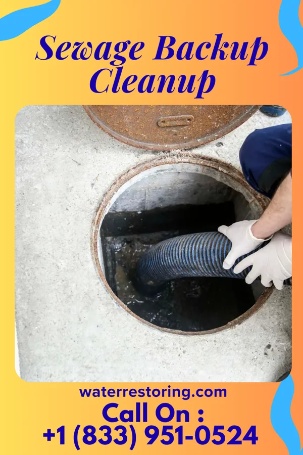 Sewage Backup Cleanup in Greencastle, IN