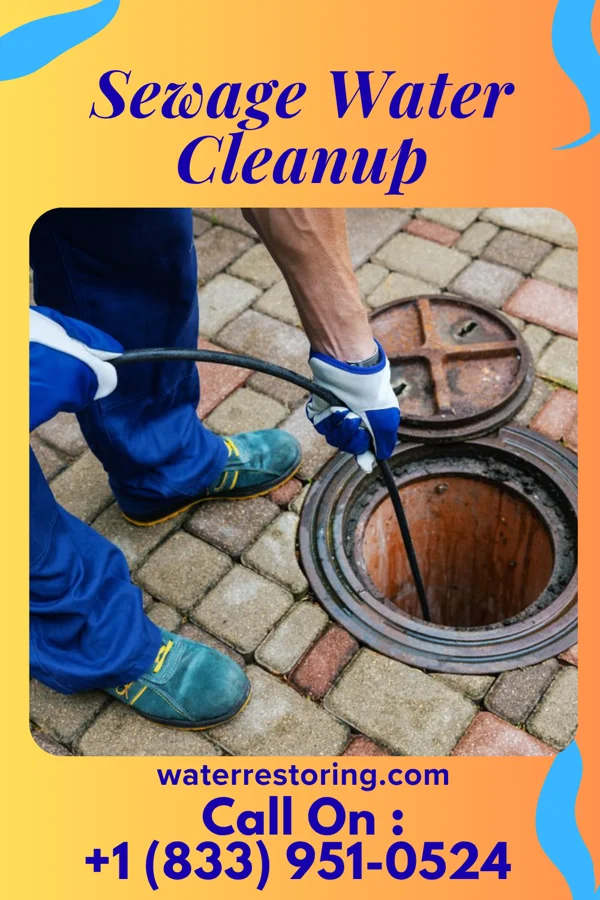 Sewage Water Cleanup in Greencastle, IN